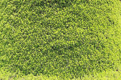 万代B站官方号开启《艾尔登法环》问题公开招募