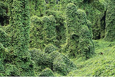 《龙腾世纪4》没D加密被迅速破解 玩家：给我钱都不玩