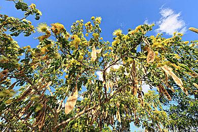 打破质疑，以新技术迎接新挑战，代号无限大制作组参展TGS技术获认可